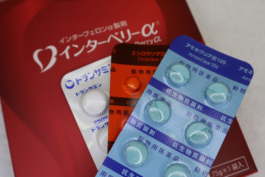 内服薬や外用薬の使用