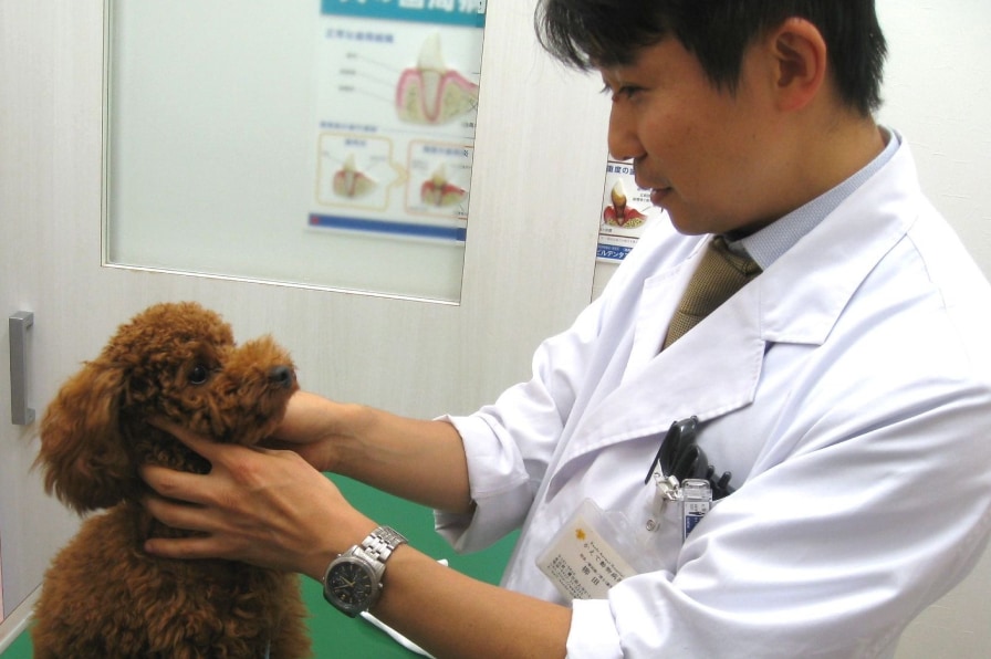 継続の歯科チェック