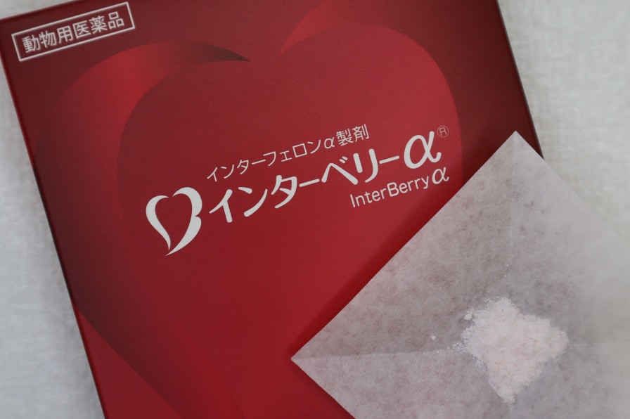 インターベリーでの歯肉炎コントロール