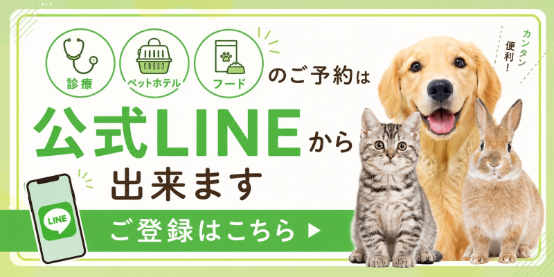 公式LINEのご登録はこちら